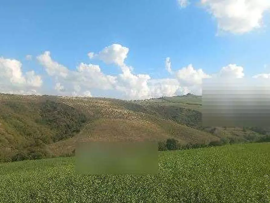 Immagine 4 di Terreno agricolo in vendita  in Via Caselle a Mondaino