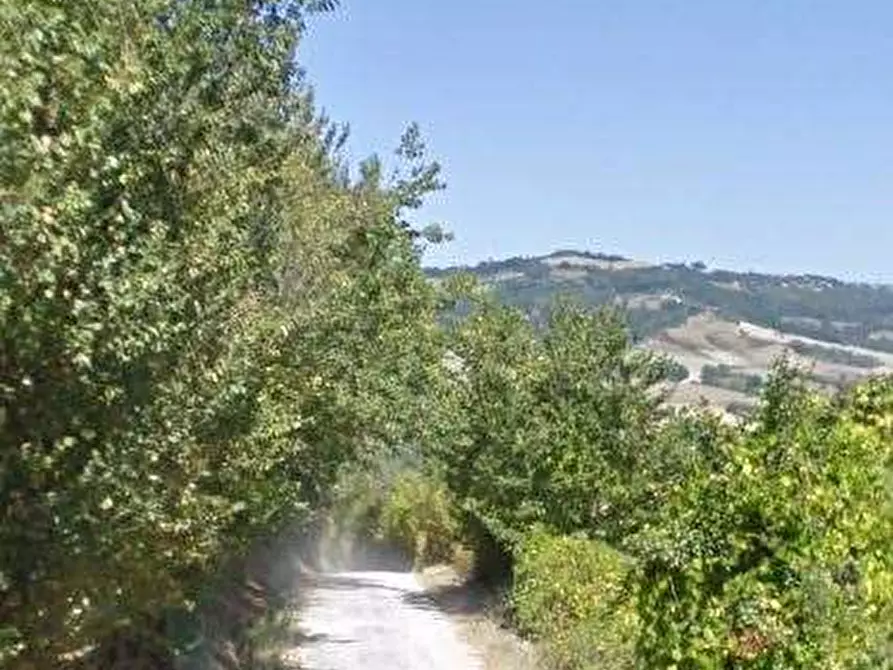 Immagine 5 di Terreno agricolo in vendita  in Via Caselle a Mondaino