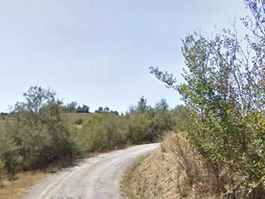 Immagine 6 di Terreno agricolo in vendita  in Via Caselle a Mondaino
