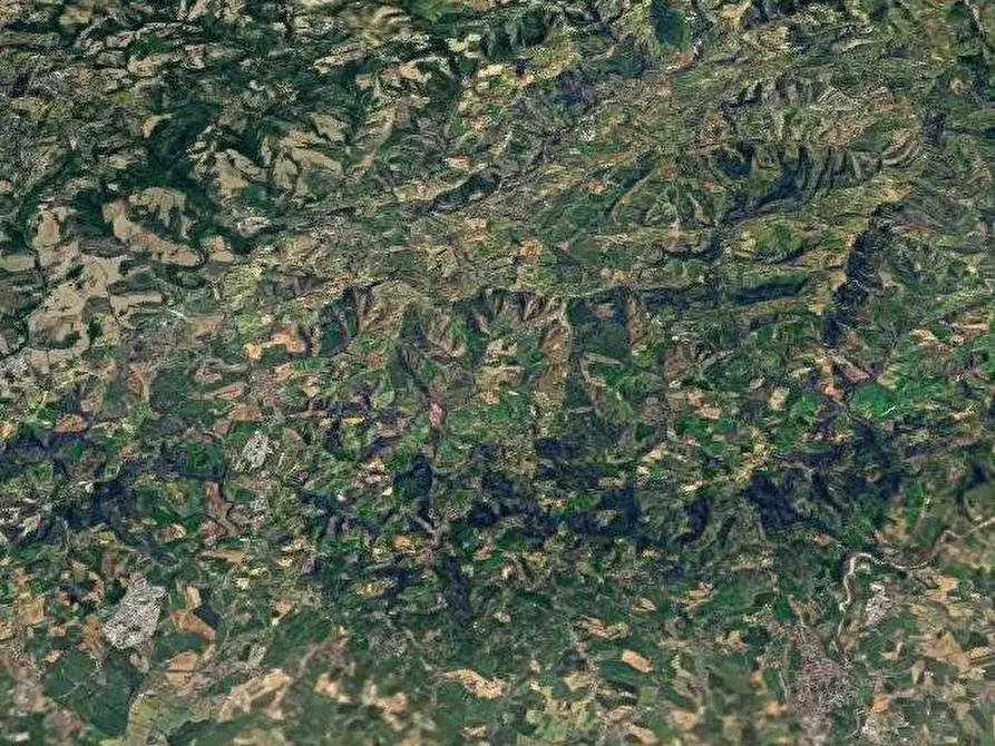 Immagine 9 di Terreno agricolo in vendita  in Via Caselle a Mondaino