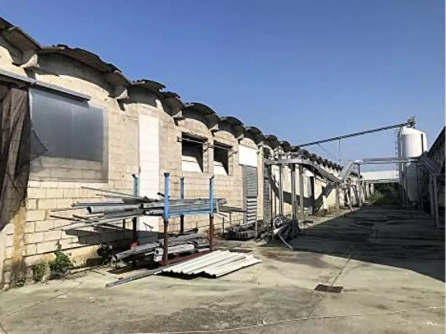 Immagine 2 di Capannone industriale in vendita  in Via Casaretta a Cittadella