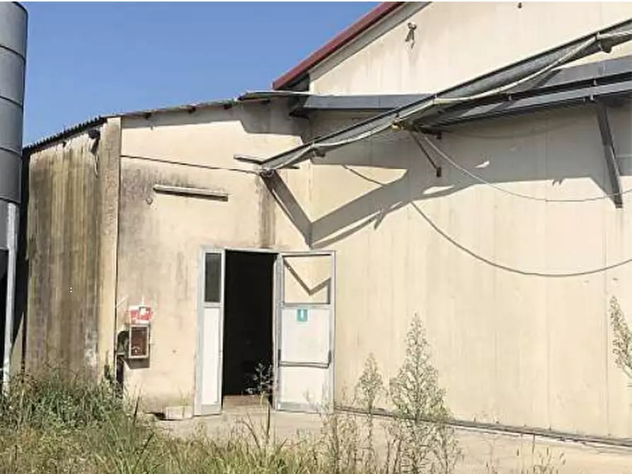 Immagine 7 di Capannone industriale in vendita  in Via Casaretta a Cittadella