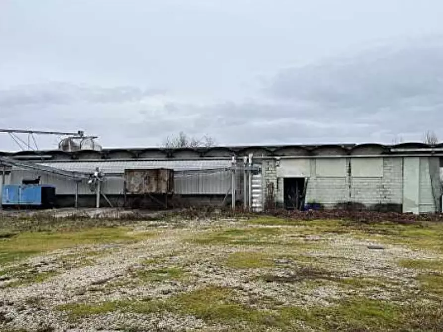 Immagine 25 di Capannone industriale in vendita  in Via Casaretta a Cittadella