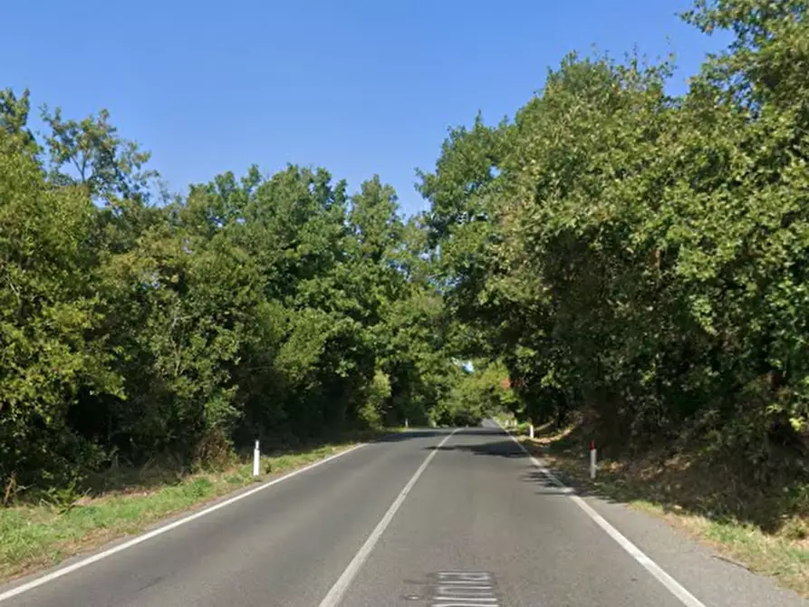 Immagine 8 di Magazzino in vendita  in Via Flaminia a Riano