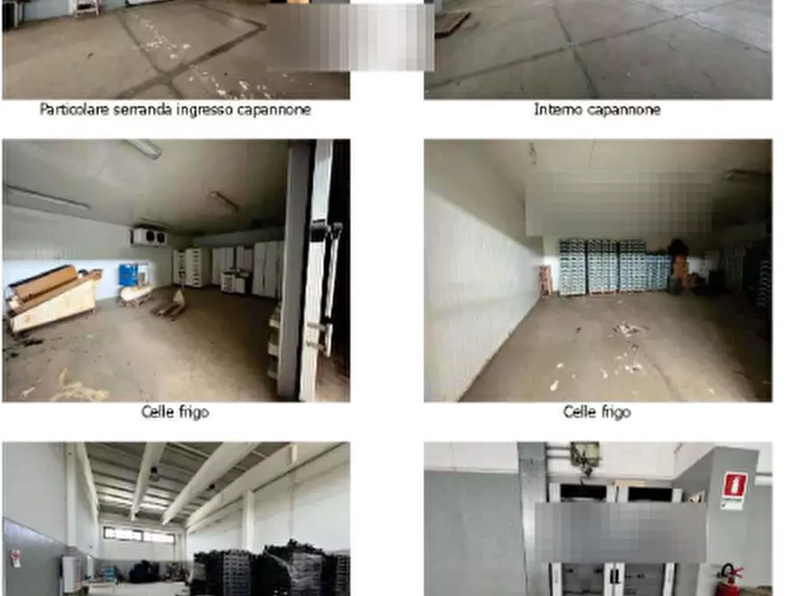 Immagine 3 di Capannone industriale in vendita  in Loc. Villarios a Giba