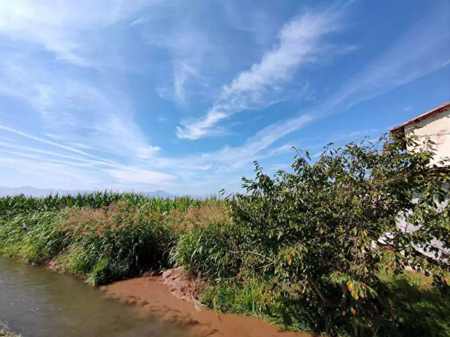 Immagine 1 di Terreno agricolo in vendita  in Via Beltrutto a Sant'albano Stura