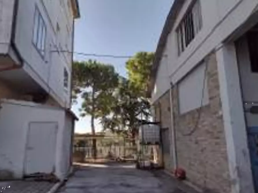 Immagine 2 di Capannone industriale in vendita  in Via S. Antonio a Monte San Pietrangeli