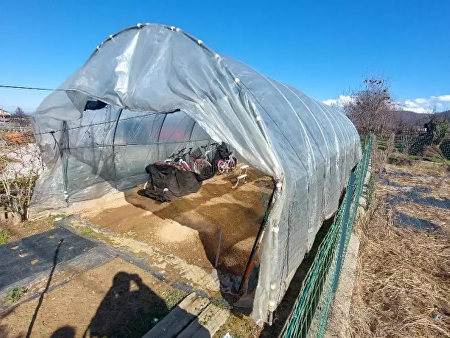 Immagine 4 di Terreno agricolo in vendita  in Via Morozza a Peveragno