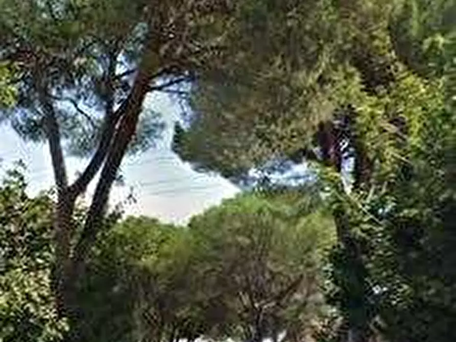 Immagine 5 di Appartamento in vendita  in Via Monte Bianco a Guidonia Montecelio
