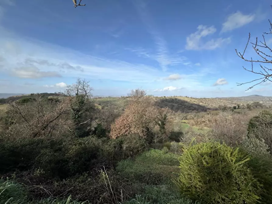 Immagine 5 di Appartamento in vendita  in Località le Valentine a Scansano