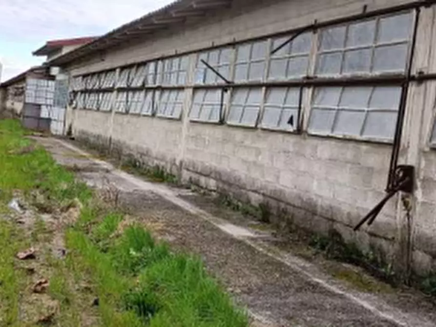 Immagine 2 di Azienda agricola in vendita  in Via Bando a Porpetto