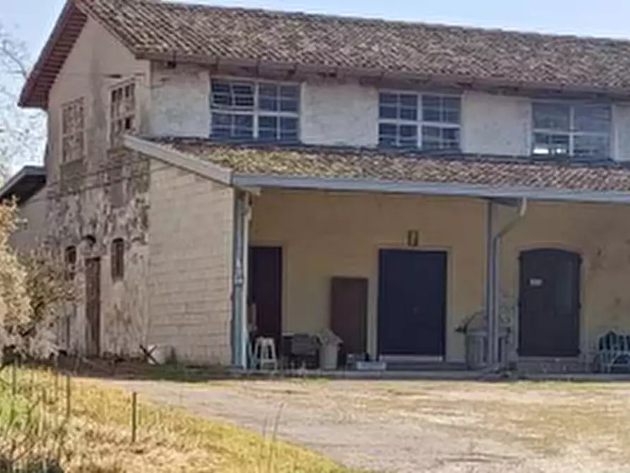 Immagine 3 di Azienda agricola in vendita  in Via Bando a Porpetto