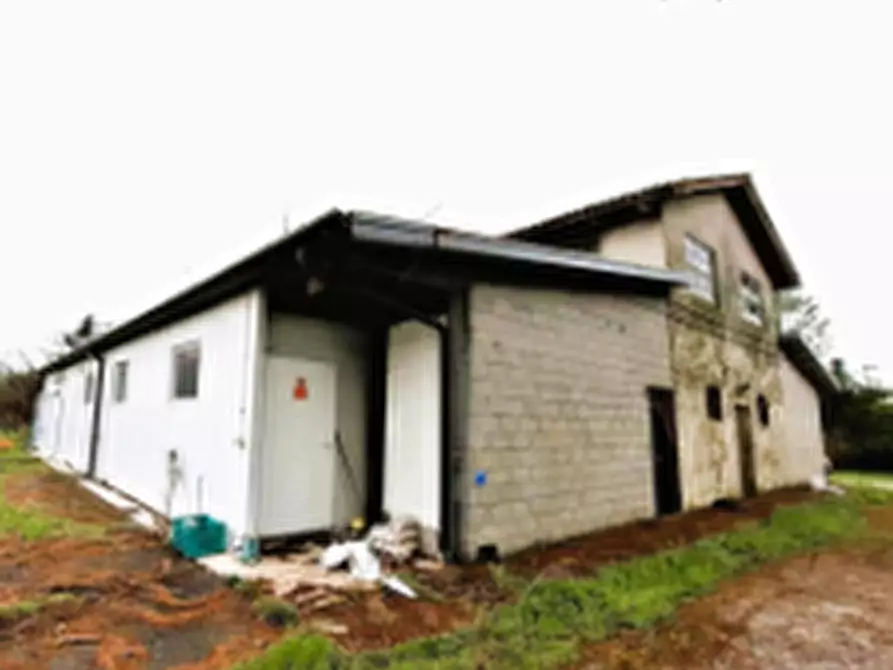 Immagine 4 di Azienda agricola in vendita  in Via Bando a Porpetto