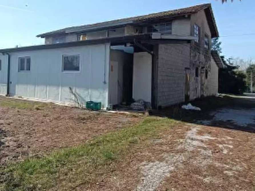 Immagine 5 di Azienda agricola in vendita  in Via Bando a Porpetto
