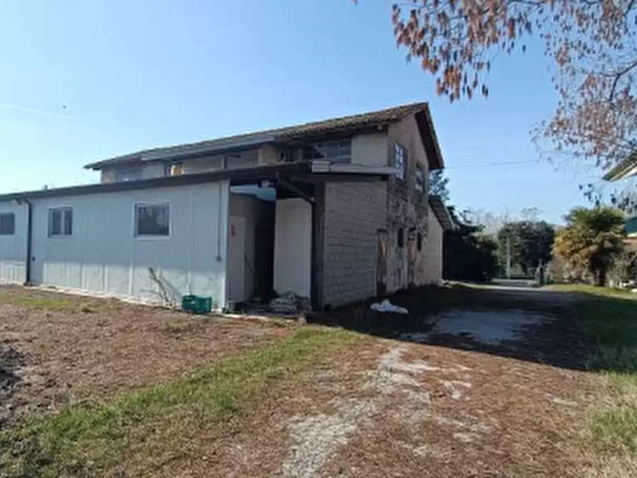 Immagine 17 di Azienda agricola in vendita  in Via Bando a Porpetto