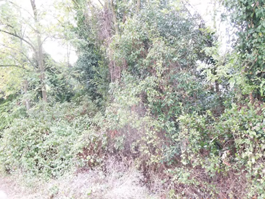 Immagine 11 di Appartamento in vendita  in Via Dante Alighieri a San Pier D'isonzo