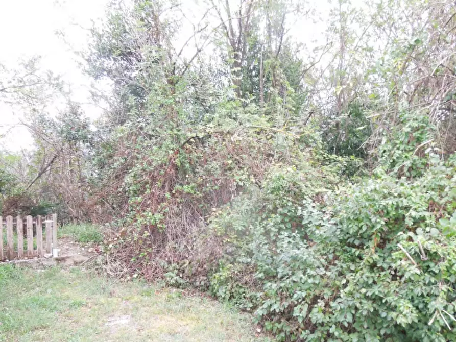 Immagine 12 di Appartamento in vendita  in Via Dante Alighieri a San Pier D'isonzo