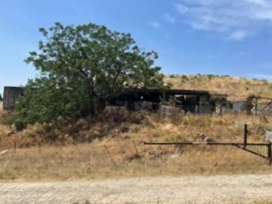 Immagine 3 di Terreno agricolo in vendita  in località Dolianova  a Dolianova