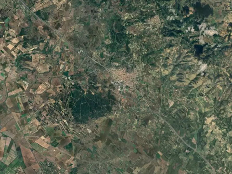 Immagine 5 di Terreno agricolo in vendita  in località Sardara  a Sardara