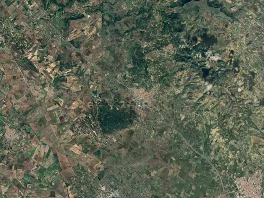 Immagine 6 di Terreno agricolo in vendita  in località Sardara  a Sardara