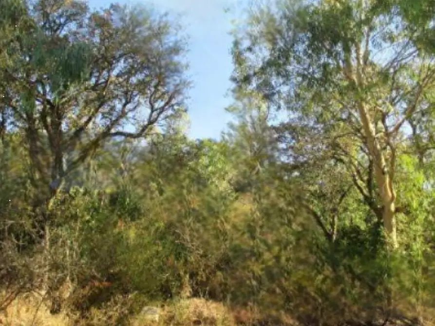 Immagine 2 di Terreno agricolo in vendita  in località Iglesias a Iglesias
