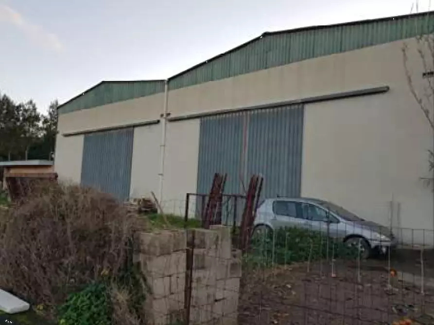 Immagine 3 di Capannone industriale in vendita  in Via Enzo Ferrari a Nurachi