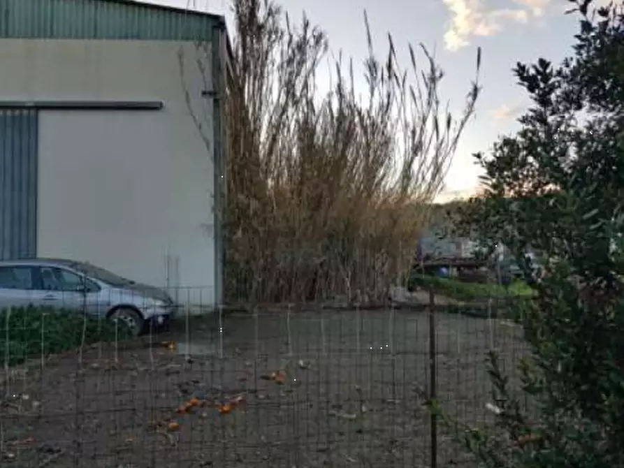 Immagine 4 di Capannone industriale in vendita  in Via Enzo Ferrari a Nurachi