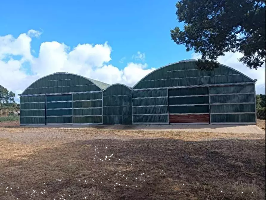 Immagine 1 di Terreno agricolo in vendita  in Loc. Cogotti a Paulilatino
