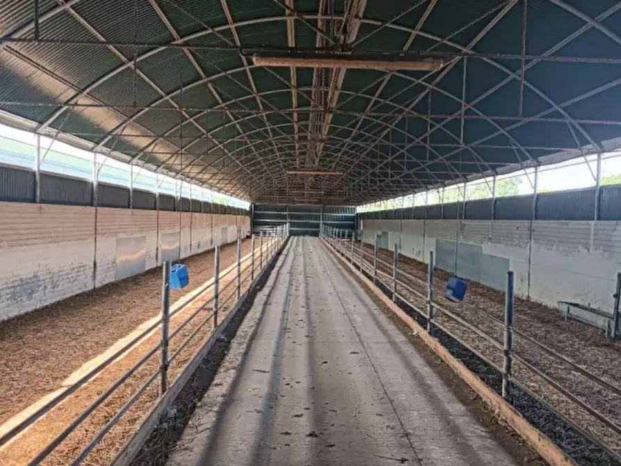 Immagine 2 di Terreno agricolo in vendita  in Loc. Cogotti a Paulilatino