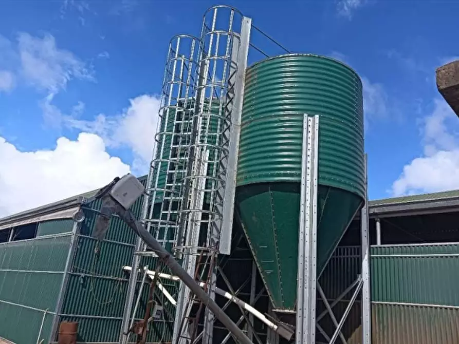 Immagine 3 di Terreno agricolo in vendita  in Loc. Cogotti a Paulilatino