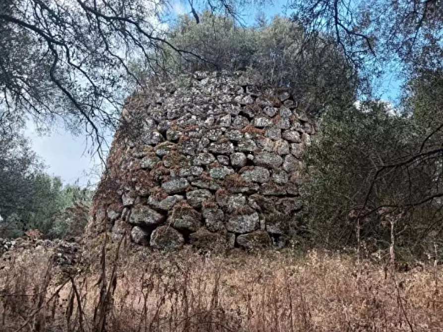 Immagine 7 di Terreno agricolo in vendita  in Loc. Cogotti a Paulilatino