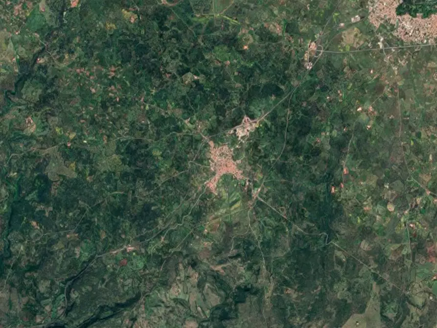 Immagine 14 di Terreno agricolo in vendita  in Loc. Cogotti a Paulilatino