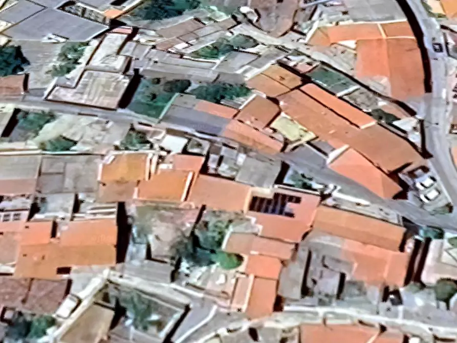 Immagine 7 di Terreno agricolo in vendita  in Villanova Truschedu a Bauladu