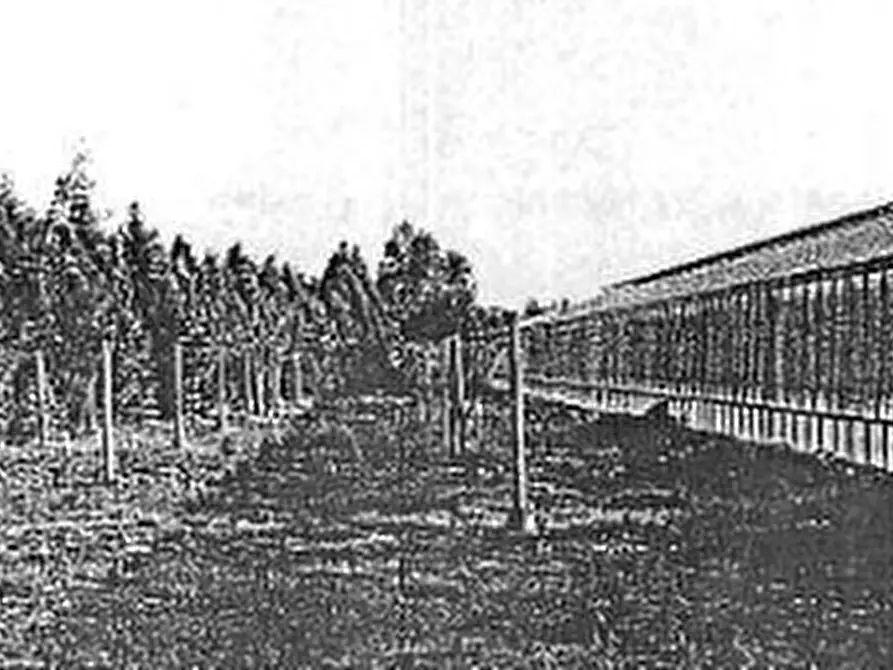 Immagine 4 di Terreno agricolo in vendita  in Località  a Uta