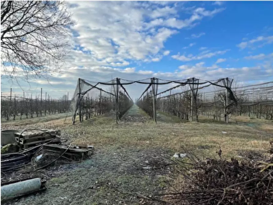 Immagine 1 di Terreno agricolo in vendita  in Via Serrasina a Soliera