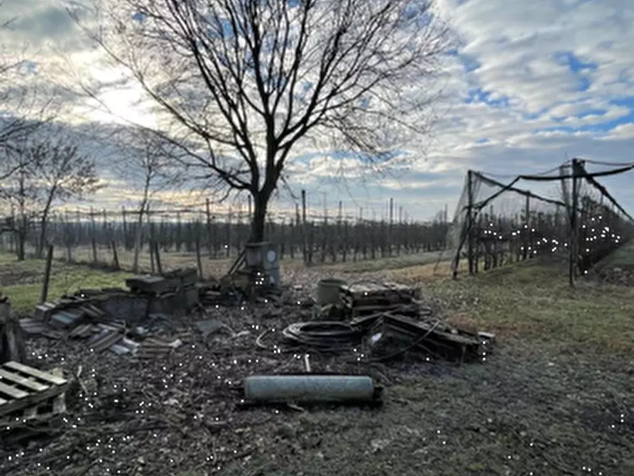 Immagine 2 di Terreno agricolo in vendita  in Via Serrasina a Soliera