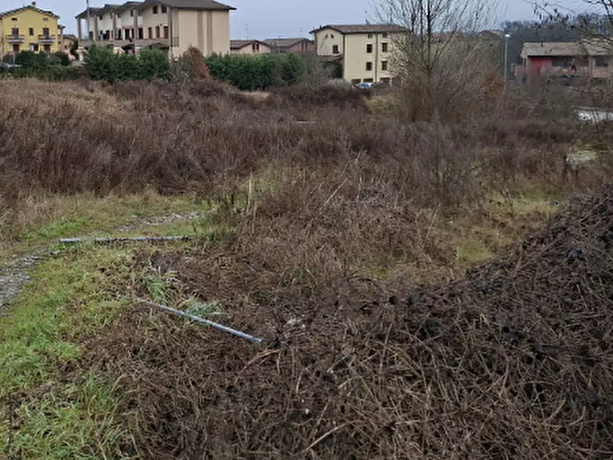 Immagine 2 di Terreno edificabile in vendita  in  Via Matteotti a Medesano