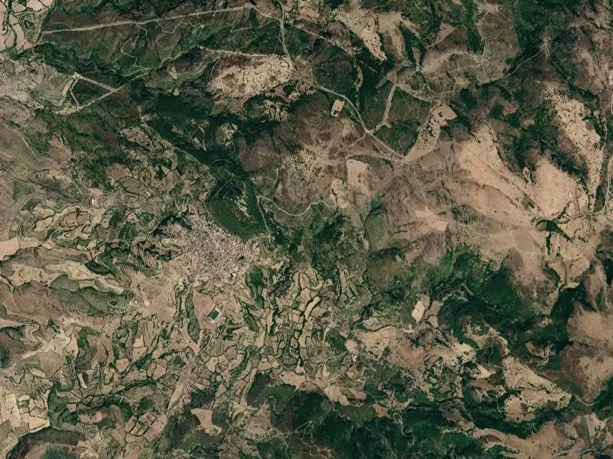 Immagine 5 di Terreno edificabile in vendita  in S.P. SENORBI' GONI a San Basilio