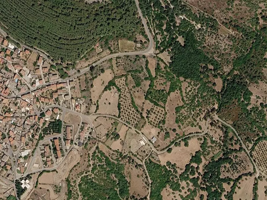 Immagine 2 di Capannone industriale in vendita  in S.P. SENORBI' GONI a San Basilio