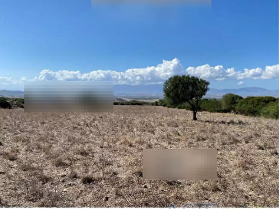 Immagine 1 di Terreno agricolo in vendita  in Località Pranu Mannu a Collinas