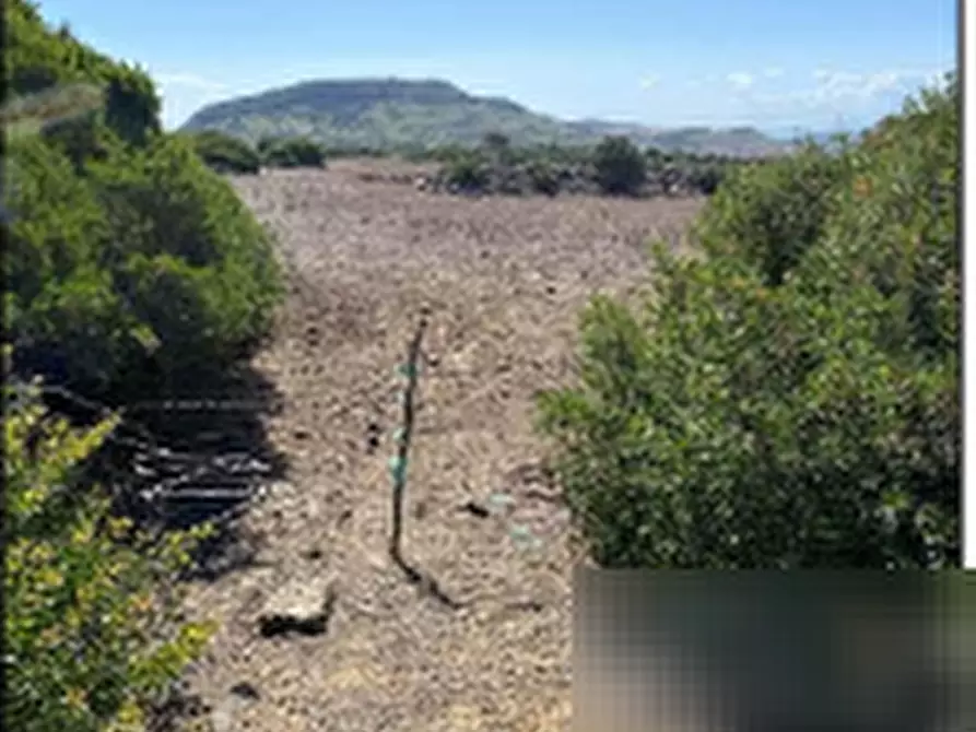Immagine 2 di Terreno agricolo in vendita  in Località Pranu Mannu a Collinas