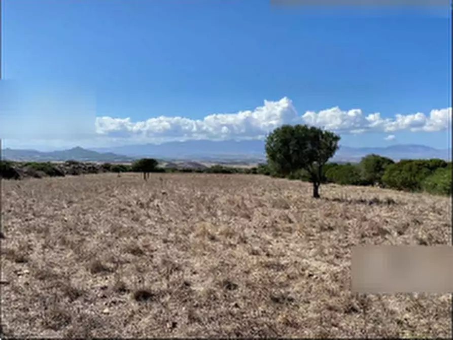 Immagine 3 di Terreno agricolo in vendita  in Località Pranu Mannu a Collinas