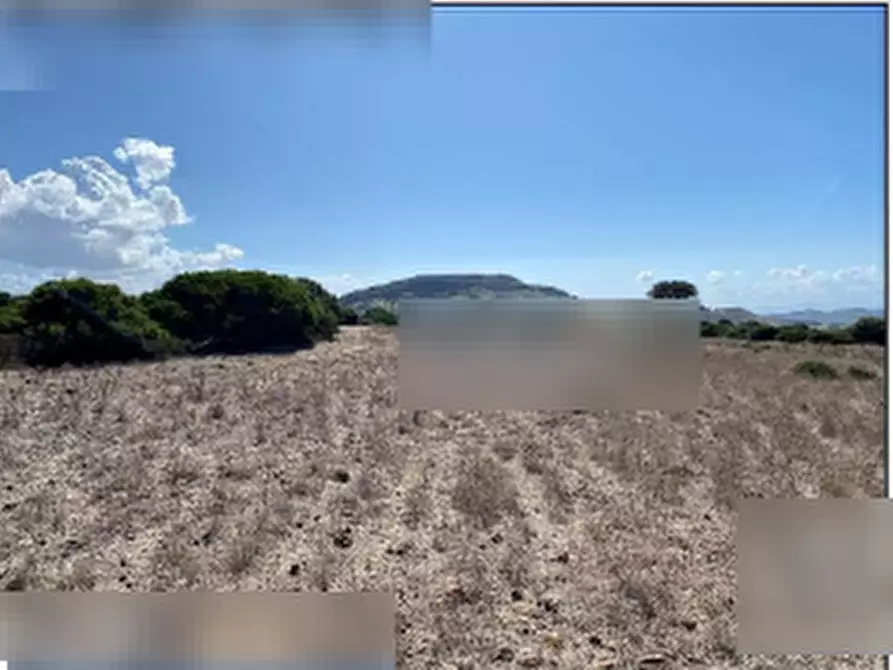 Immagine 4 di Terreno agricolo in vendita  in Località Pranu Mannu a Collinas
