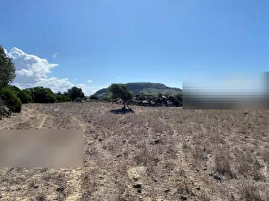 Immagine 5 di Terreno agricolo in vendita  in Località Pranu Mannu a Collinas