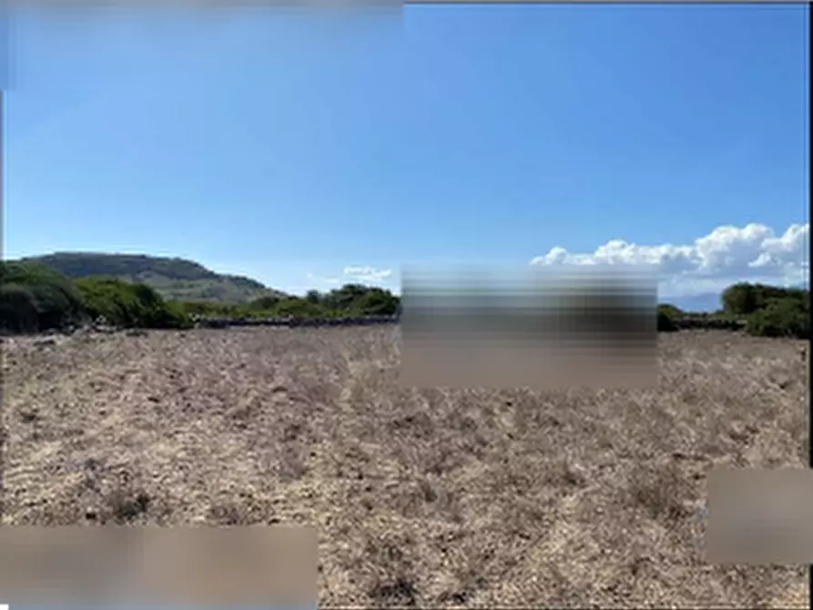 Immagine 6 di Terreno agricolo in vendita  in Località Pranu Mannu a Collinas