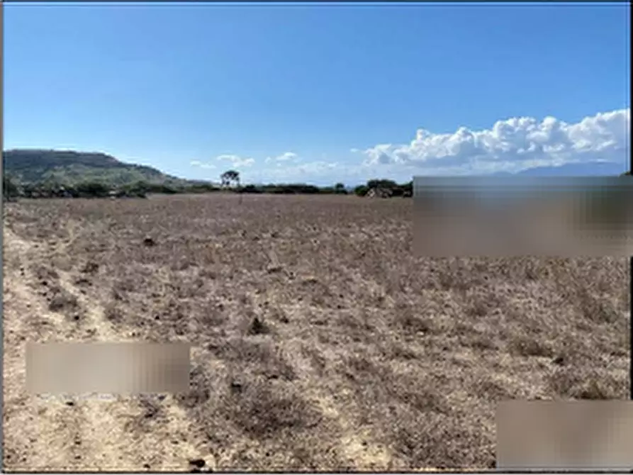 Immagine 7 di Terreno agricolo in vendita  in Località Pranu Mannu a Collinas