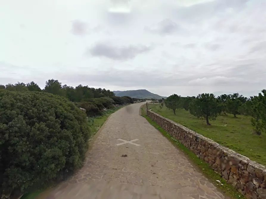 Immagine 8 di Terreno agricolo in vendita  in Località Pranu Mannu a Collinas