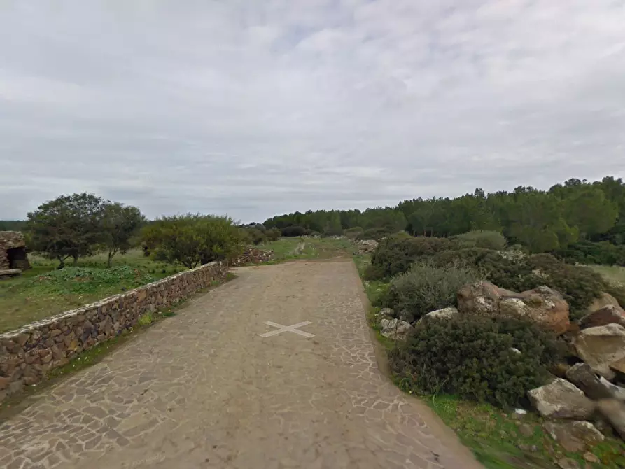 Immagine 9 di Terreno agricolo in vendita  in Località Pranu Mannu a Collinas