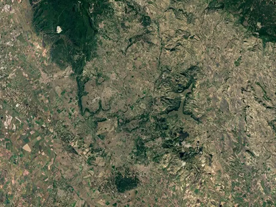 Immagine 10 di Terreno agricolo in vendita  in Località Pranu Mannu a Collinas