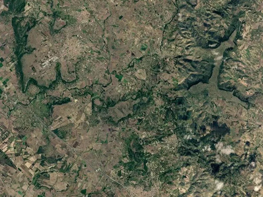 Immagine 11 di Terreno agricolo in vendita  in Località Pranu Mannu a Collinas